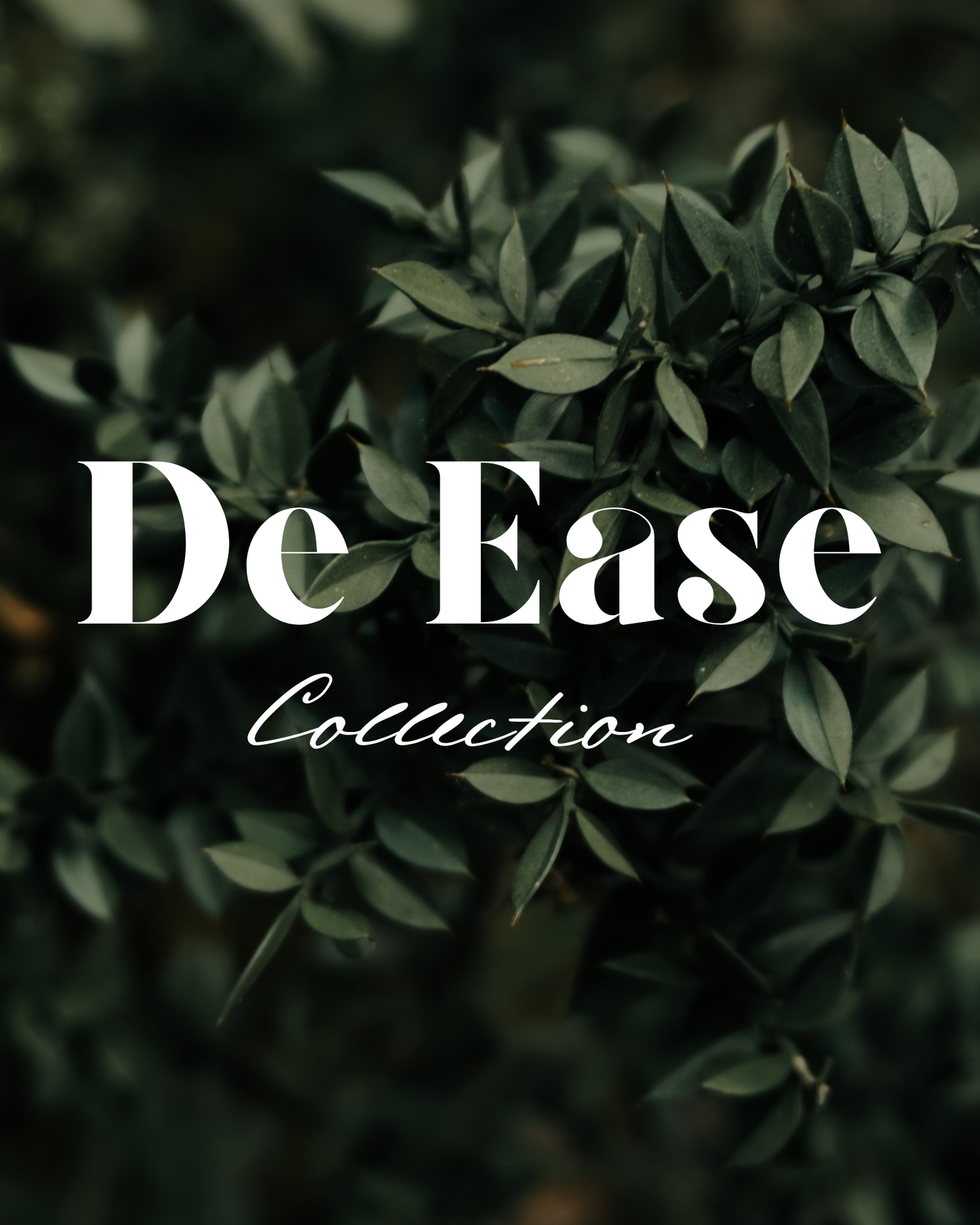 De Ease Collection - Moringa